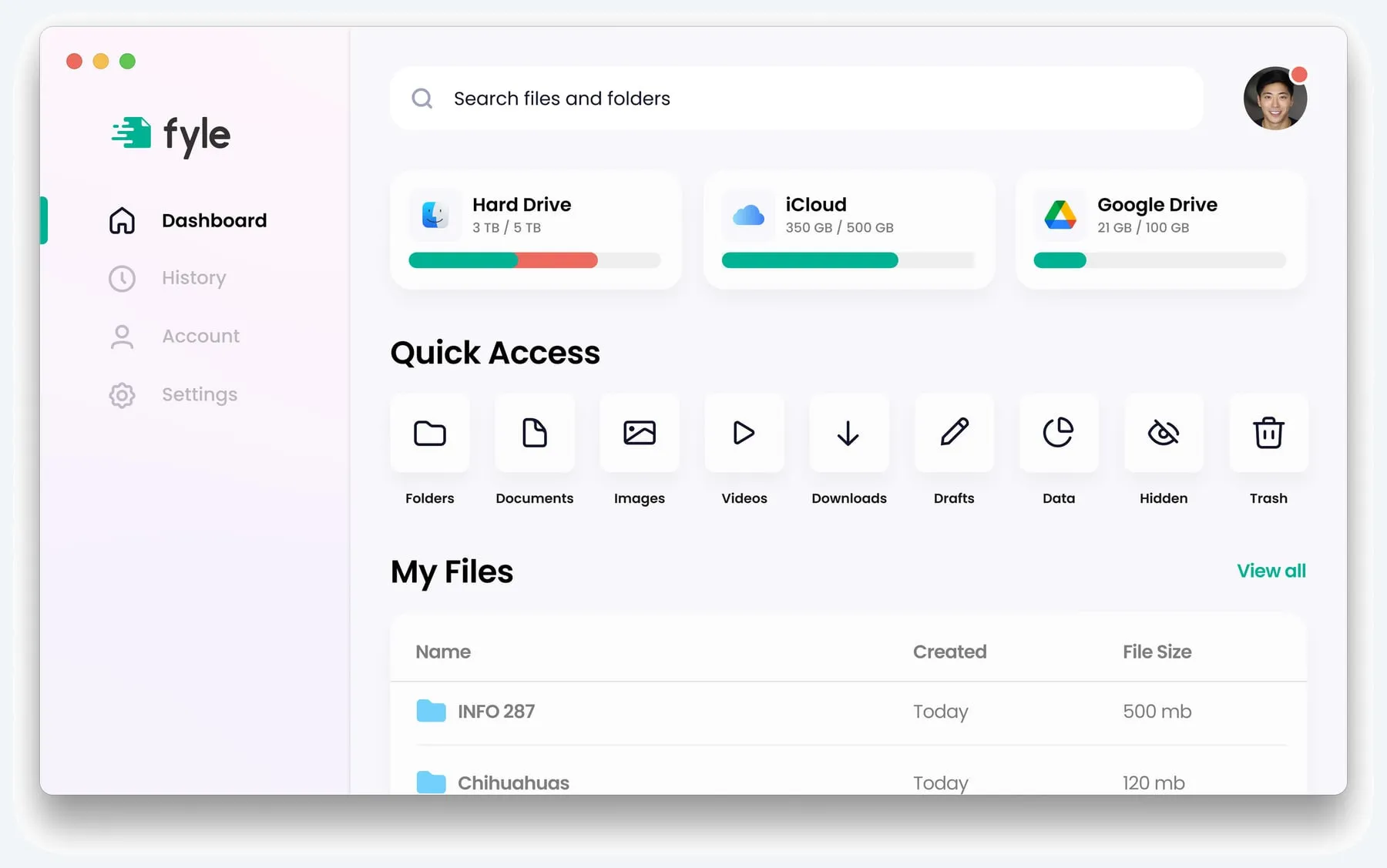 The Fyle desktop application showing an organized file collection with suggested groupings